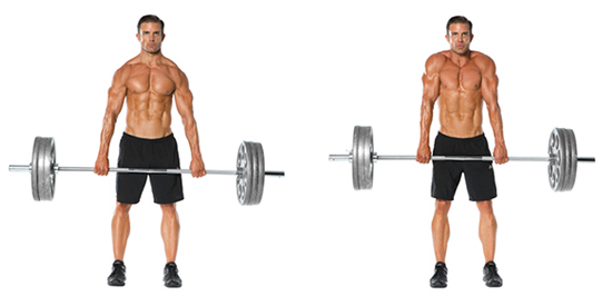 Barbell Shrug , My Thought Lane